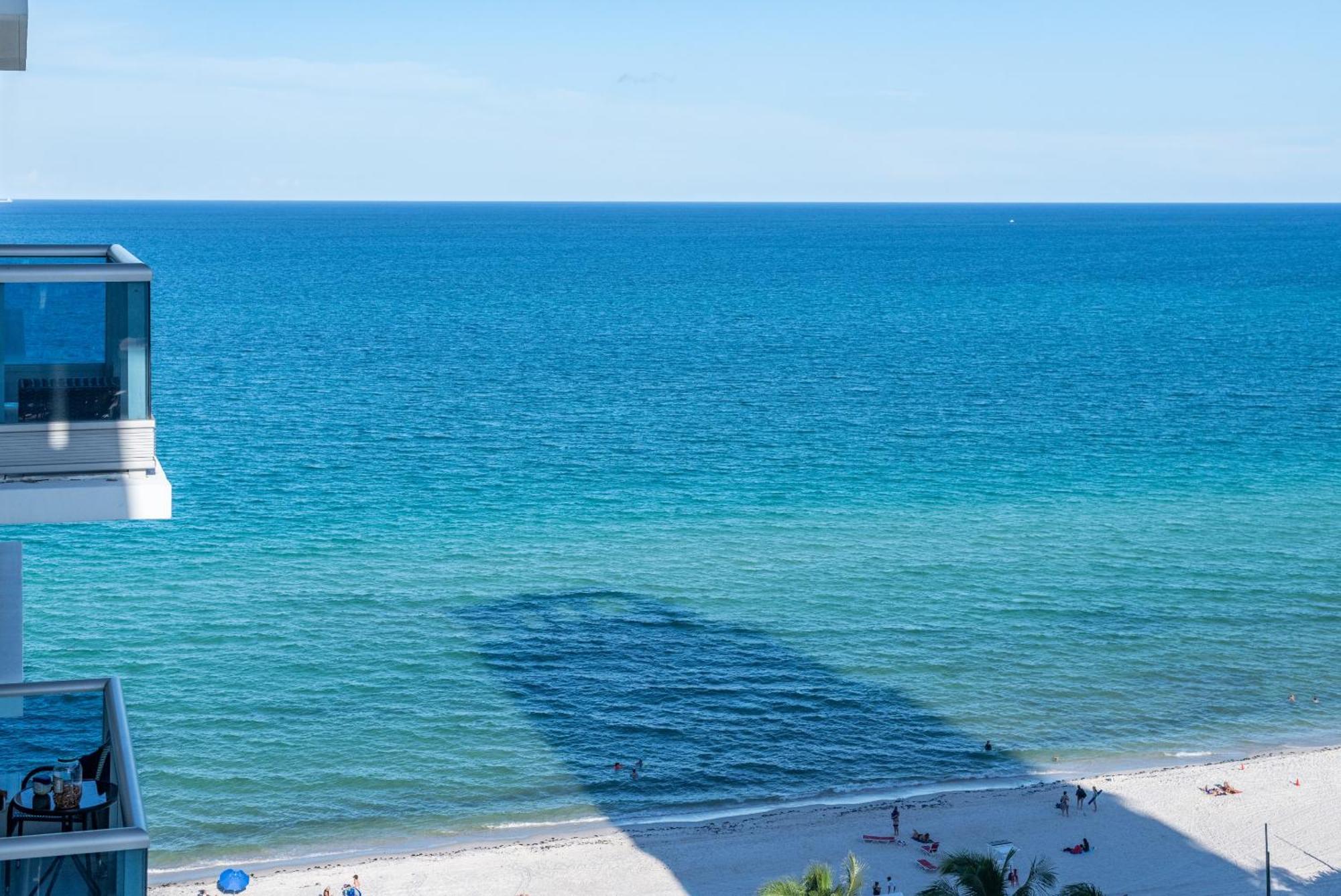 Bluebird Suites Monte Carlo Маями Бийч Стая снимка
